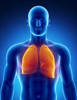 Stem Cell Therapy for Chronic Obstructive Pulmonary Disease (COPD) in  Clifton, NJ